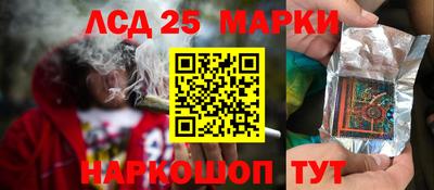 прущие грибы Можайск