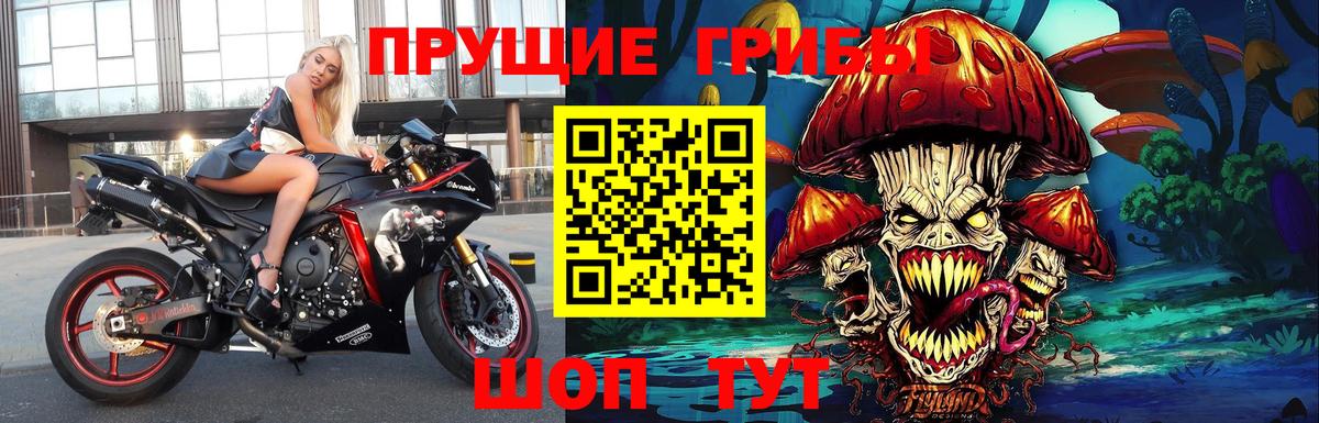 Минеральные Воды  Галлюциногенные грибы Cubensis  Вход с VPN 